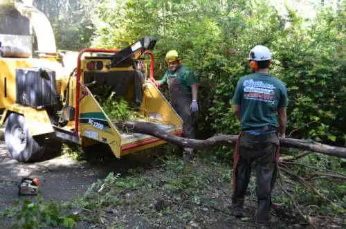 tree services Brantleyville